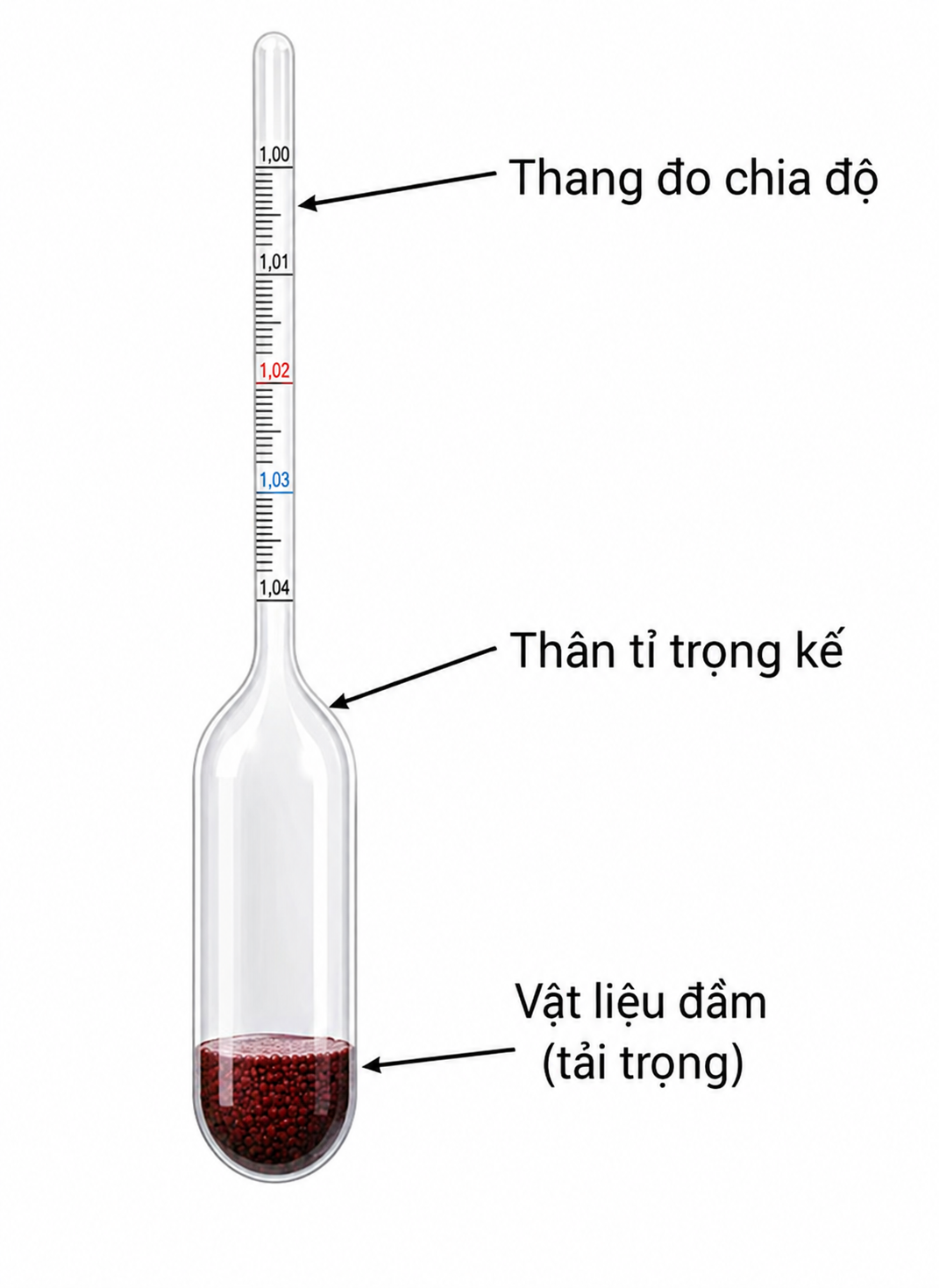 Tỉ trọng kế với thang đo chia độ, thân tỉ trọng kế và vật liệu dằn
