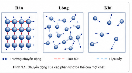 Mô hình chuyển động và sự sắp xếp của các phân tử ở ba thể rắn, lỏng, khí.